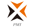 PRECISION MOTION INDUSTRIES, INC